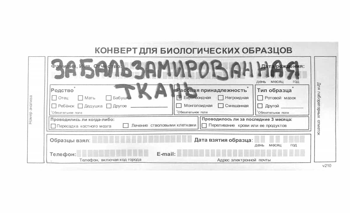 Нестандартный материал Забальзамированная ткань